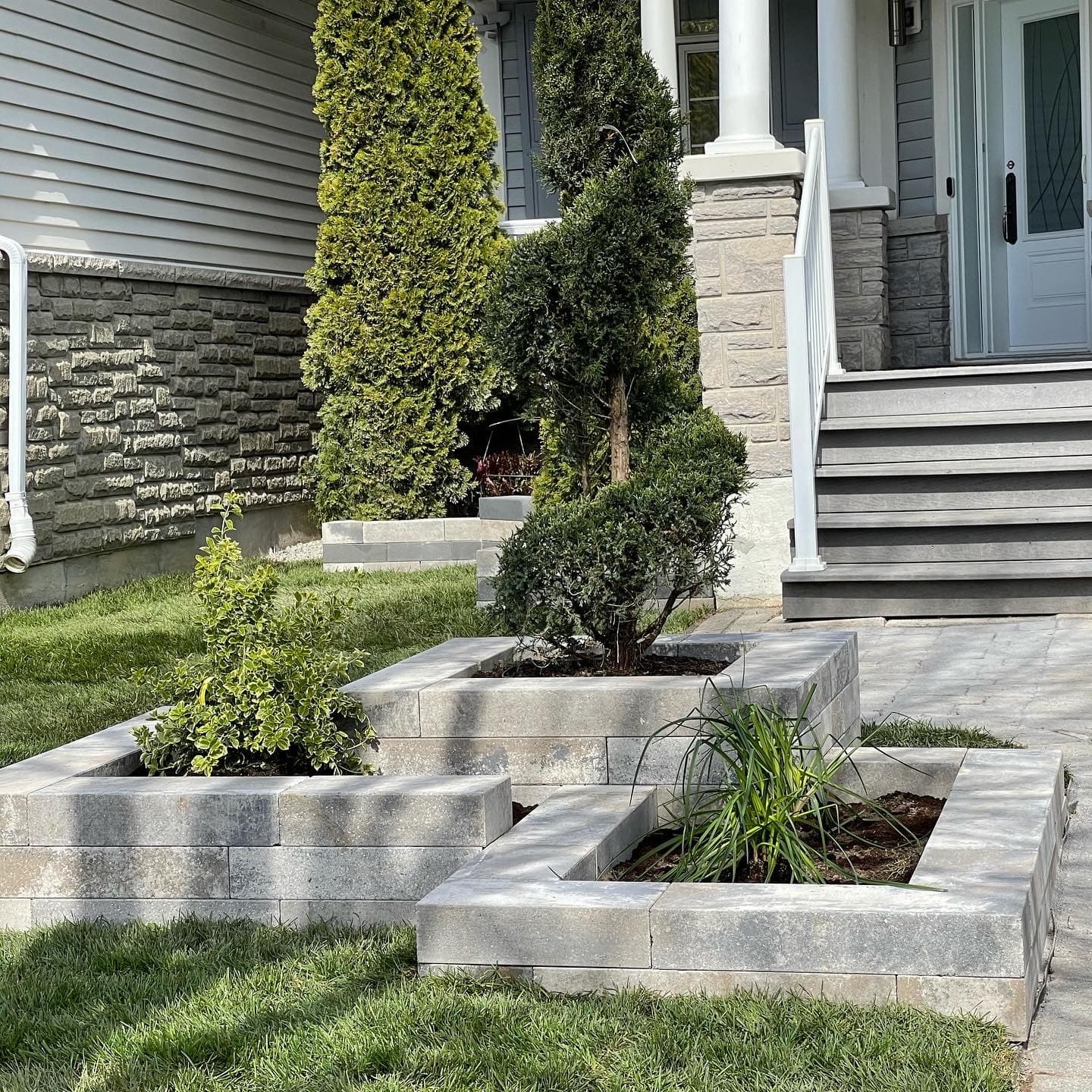 Flower Beds & Tree Boxes project photo 1